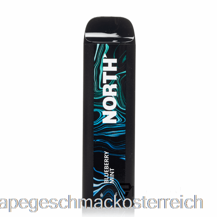 North 5000 Einweg-Blueberry-Mint-Vape-Geschmack